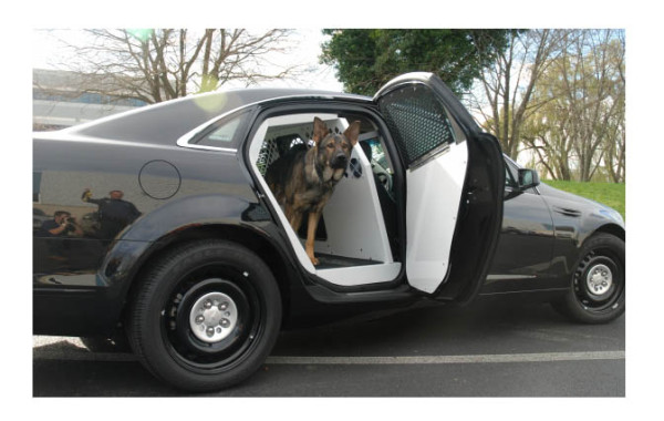 Transport canin